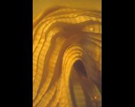 Etole jaune-01