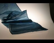 Etole bleue-02